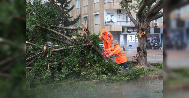 Antalya Büyükşehir Belediyesi Her Yerde