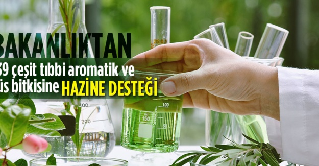 Yerli Üretim Hazine Taşınmazları ile Destekleniyor