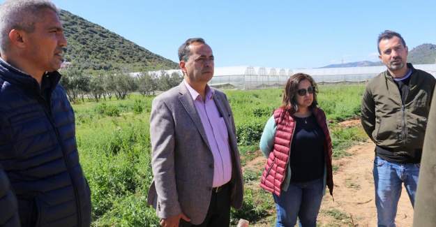 Yaya Güvenliği İçin Kaldırım Çalışmaları  Başladı