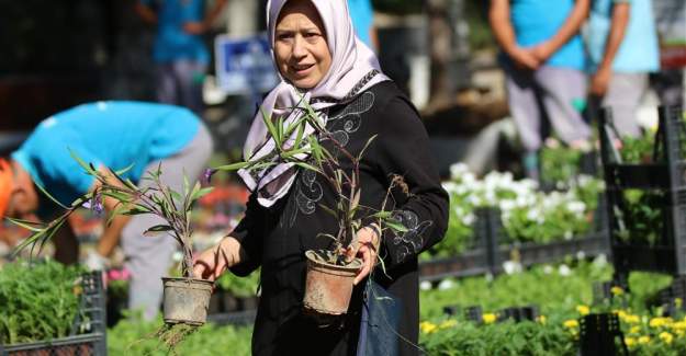Alanya Belediyesi Bayramda Ücretsiz 60 Bin Çiçek Dağıtacak