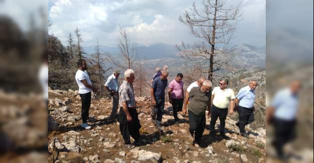 Karadağ'ın Orman Talanı İsyanı