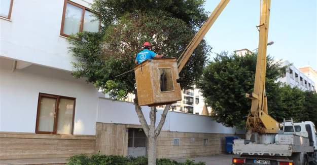 Alanya Belediyesi Kışlık Bakım Çalışmalarına Devam Ediyor