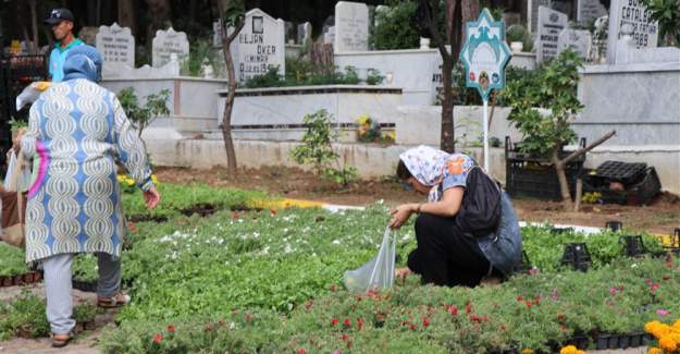 Alanya Belediyesi Ramazan Bayramında 31 Mezarlıkta Ücretsiz 62 Bin Çiçek Dağıtacak