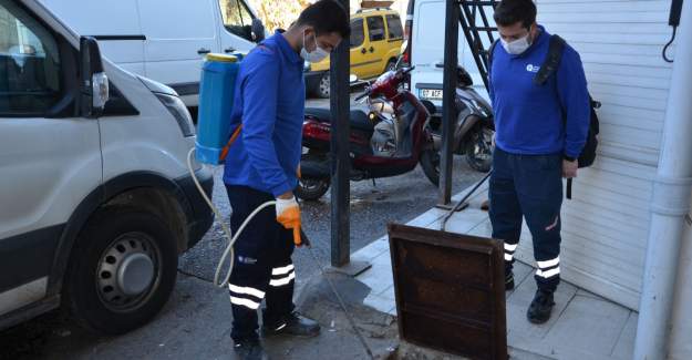 Karasinek Popülasyonuna Karşı Düzenli İlaçlama Sürüyor