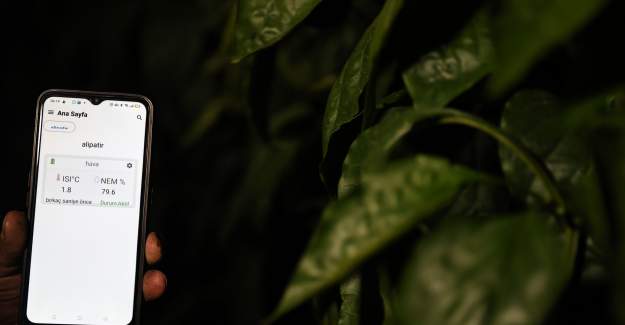 Antalya'da Üreticinin Don Nöbetine Dijital Çözüm