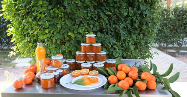 Reçel Kavanozunda Hayat Var