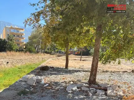 Mahmutlar Sahili Yeni Yaşam Alanına Kavuşuyor