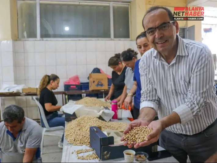 Toroslar’da Üretilen Nohutlar İhtiyaç Sahiplerine Ulaşacak